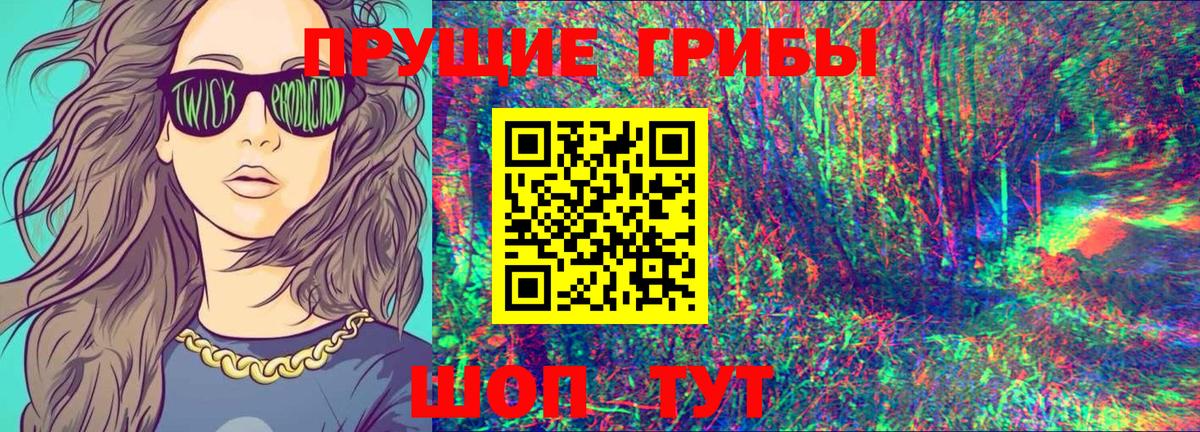 Псилоцибиновые грибы Psilocybine cubensis Заинск