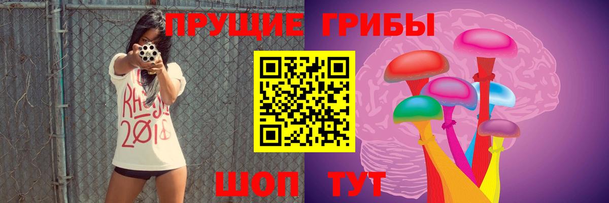 сколько стоит  Псилоцибиновые грибы MAGIC MUSHROOMS  Галлюциногенные грибы Cubensis  Вход с VPN  Заинск 